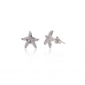 925 Silver Cubic Zirconia Earring