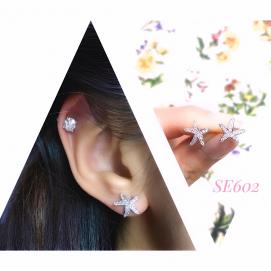 925 Silver Cubic Zirconia Earring