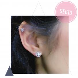 925 Silver Cubic Zirconia Earring