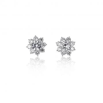 925 Silver Cubic Zirconia Earring